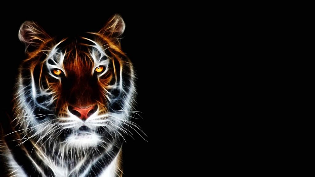 Khám phá ngay 25 hình ảnh con hổ đáng yêu