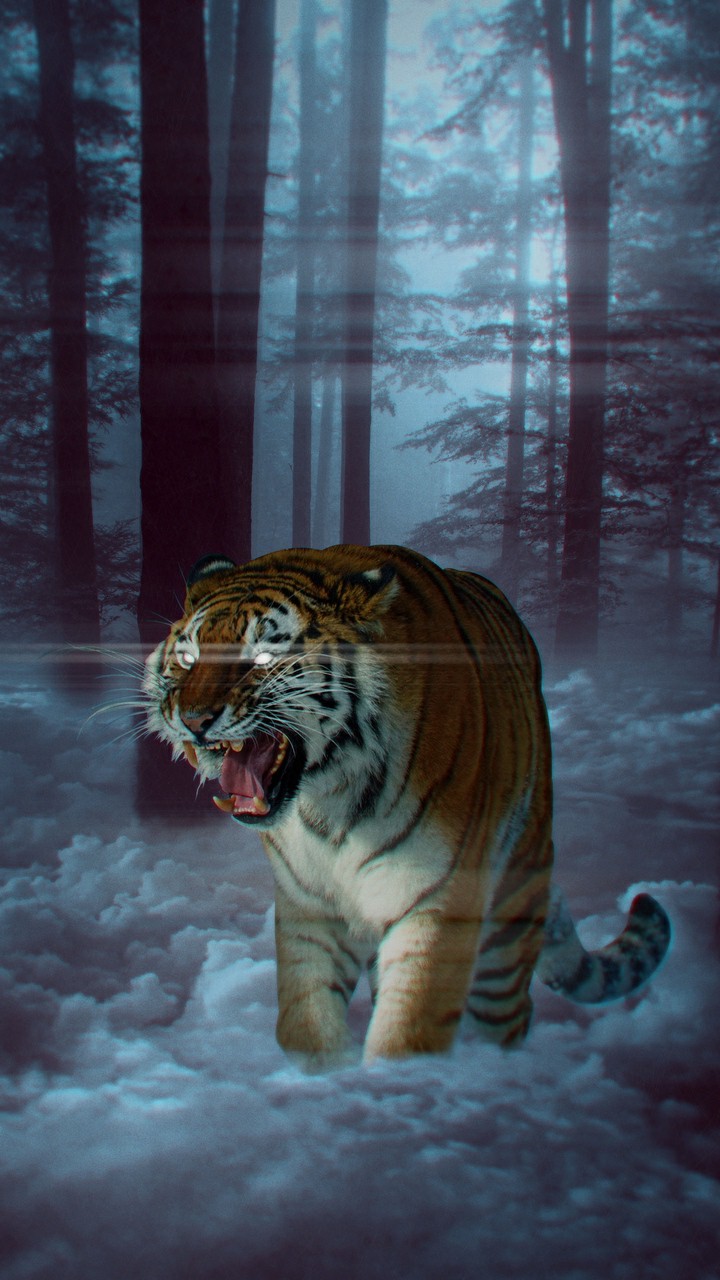 Hình nền con hổ cực đẹp cho máy tính 8  Hình nền Hình Động vật