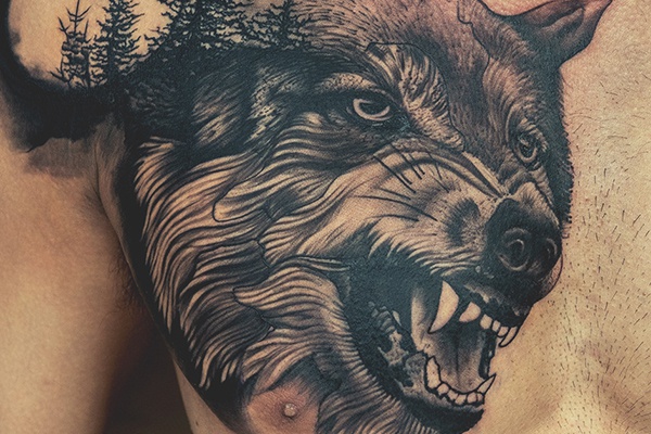 Hình xăm chó sói đẹp  Hình xăm Hình xăm chó Tattoo studio