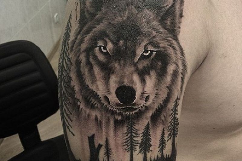 Hình xăm sói  Ý nghĩa biểu tượng và top 99 hình tattoo sói cực chất   Coolmate