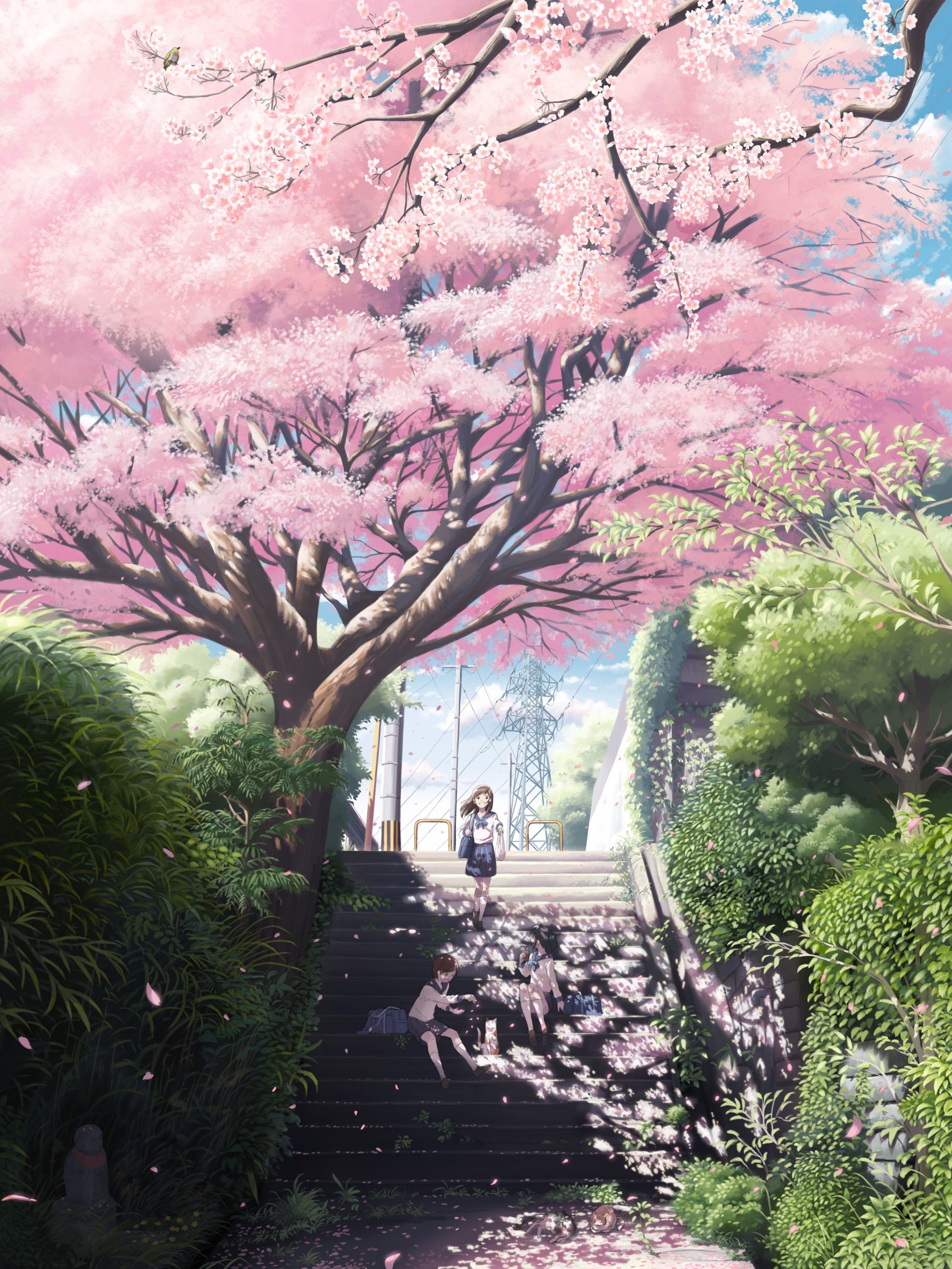 Sưu Tầm 100 hình ảnh hoa anh đào Anime đẹp lãng mạn nhất   pgddakglongeduvn
