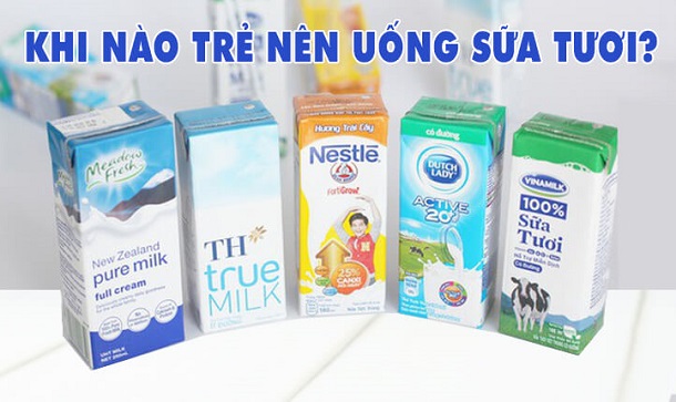 Top 8 Loại Sữa Tươi Tăng Cân Cho Be 2 Tuổi, Cách Uống Sữa Tươi Giúp Trẻ Tăng Cân Tốt