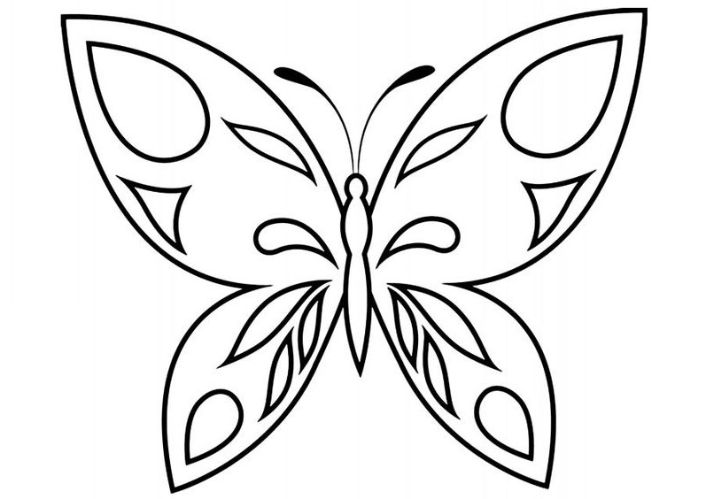 VẼ VÀ TÔ MÀU CON BƯỚM  Draw and color the butterfly  VẼ TRANH TÔ MÀU CHO  BÉ  YouTube
