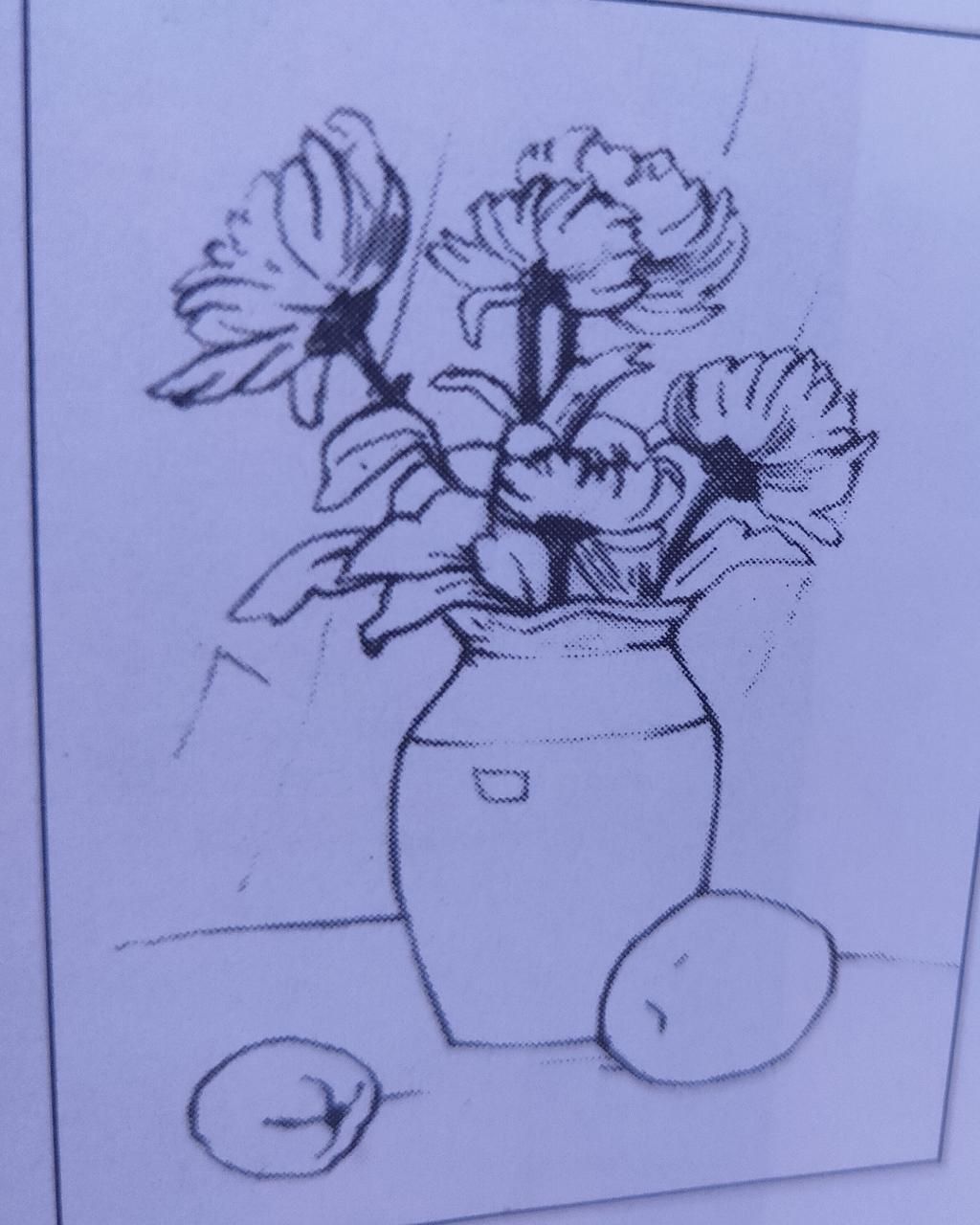 Vẽ lọ hoa và quảvẽ chìai giúp mình với  Olm