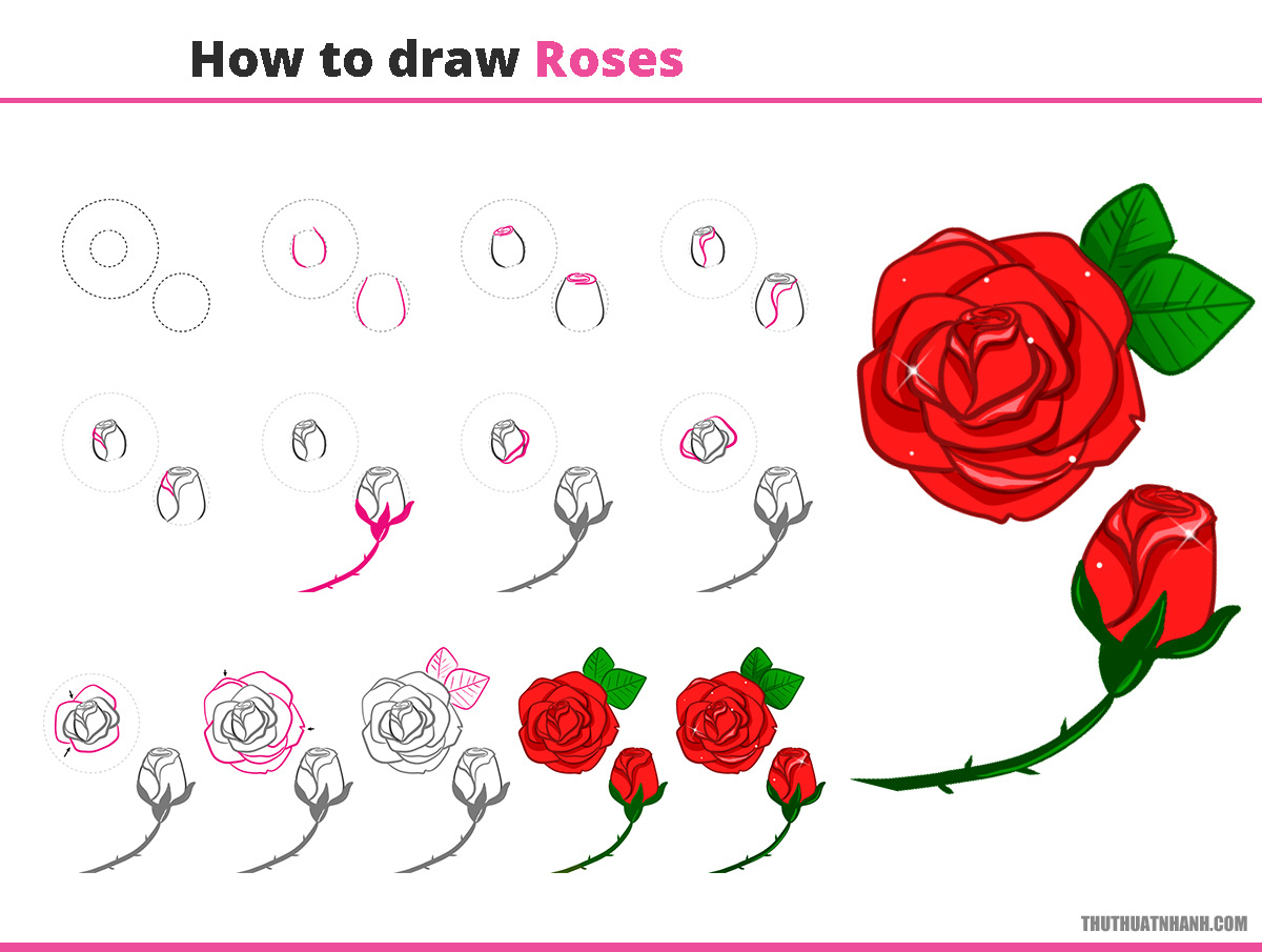Hướng dẫn VẼ HOA HỒNG I How to draw a Rose II Ong Mật Mỹ Thuật 96  YouTube